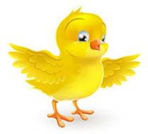 Early Bird